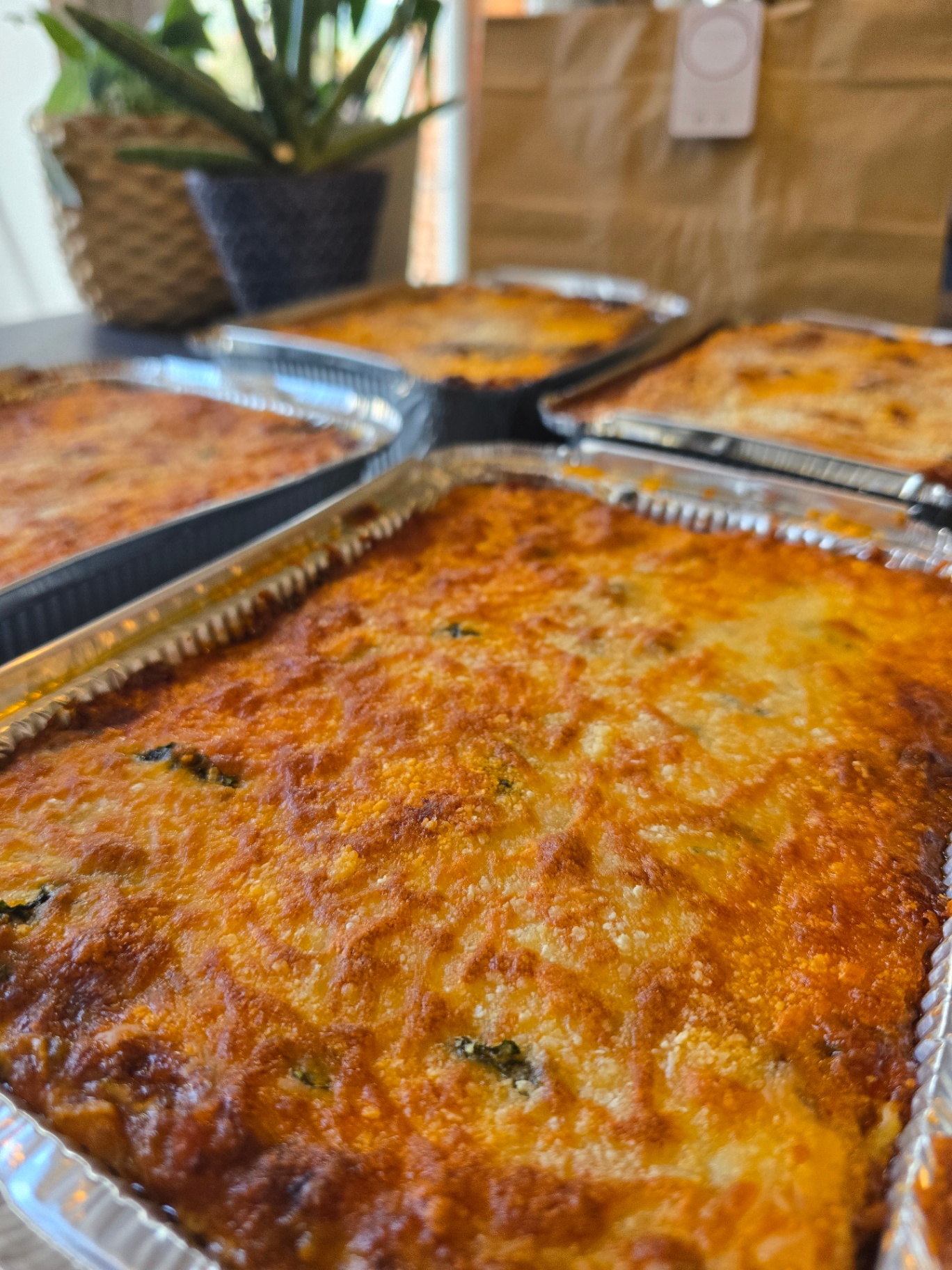 Lasagnes gratinées en barquettes, prêtes à livrer